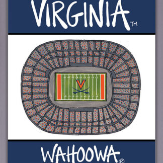 VA Stadium Flag
