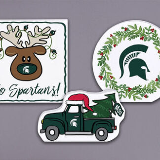 Michigan State chunky 3pc set