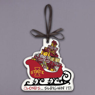 IA ST Sleighin It Orn