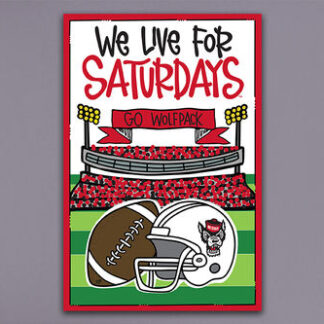 NC ST Saturday GF